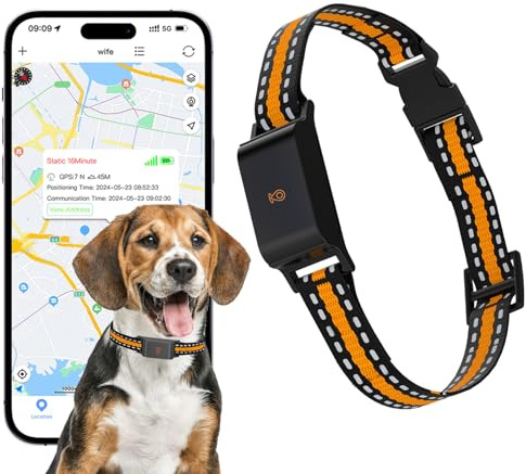 GLYYR GPS Collar para Perro, Rastreador Inteligente GPS Control vía App, Localización en Tiempo Rea, Rango Ilimitado, IP65 Resistente al Agua para Perros pequeños, medianos y Grandes Compatible