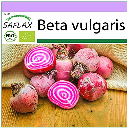 SAFLAX - BIO - Betterave - De Chioggia - 70 graines - Beta vulgaris
