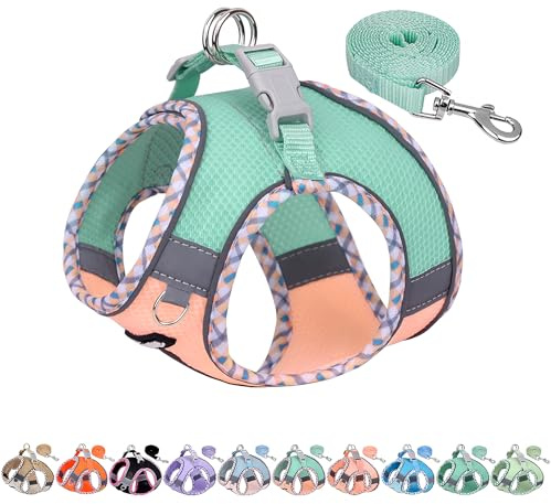 AIITLE Hundegeschirr Escape Proof, No-Pull Hundeweste mit Leine, atmungsaktives Mesh, reflektierende Streifen, verstellbares Hundegeschirr für mittlere Hunde Türkis-Rosa M