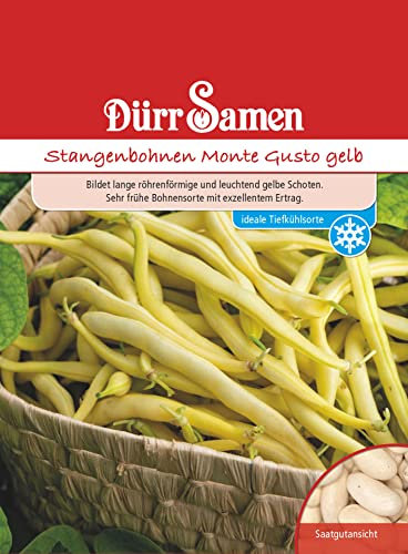 Stangenbohnen Samen Monte Gusto gelbe Bohnen Bohnensamen Fadenlos Hoher Ertrag ca 80 Korn Saatgut Gemüse Garten Hochbeet Kübel Dürr Samen