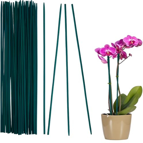20 Tutores para Plantas 70 cm Ø 5,5-6 mm – Estacas de Bambú para Flores, Jardín, Macetas, Trepadoras, Enredaderas - Ideal Plantas Monstera, Orquidea y Otras Ornamentales - Color Verde