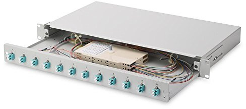 Assmann DIGITUS Professional Glasfaserkabelkiste 1U 48,3 cm 19 | Vormontiert – 19 Zoll 1 HE – 24 Fasern – Ausziehbar – Glasfaser-Spleißkassette – Grau