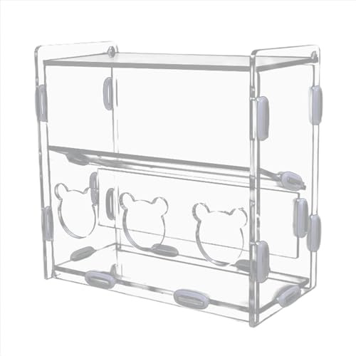 Rrlihjgu Boîte d'alimentation pour oiseaux, boîte d'alimentation pour cailles - Conteneur alimentaire automatique en acrylique non salissant avec plusieurs trous | Boîte distributrice de nourriture