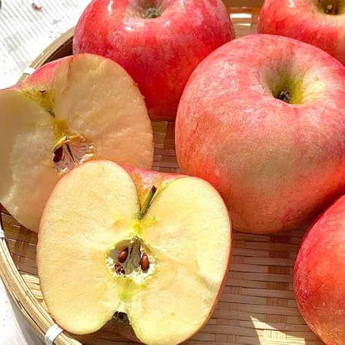 550 piezas manzanas semillas de - manzano, resistentes para jardín, semillas organicas jardin decoración de en bonsai