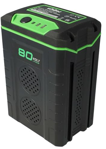EXTENSILO 1x batteria sostituisce Greenworks 80V Max, 2901302, G80B2, 2901207 per 2500mAh 80V Li-Ion