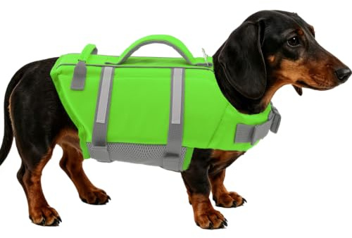 EMUST Adjustable Dog Life Jacket with Rescue Handle, Flotation Vest for Small/Medium/Large Dogs, XS, NewGreen