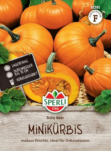 Sperli Minikürbissamen Baby Bear 81291, Saatgut | Hartfleischige Minikürbisse mit gelb-oranger Schale, Durchmesser 12-15 cm, Ernte August bis Oktober, für Küche und Deko