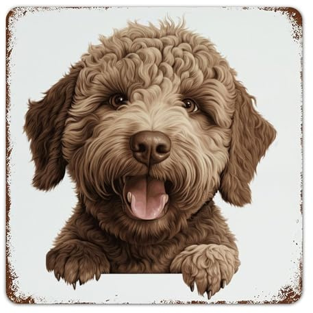 Lagotto Romagnolo - Targa in metallo vintage, 30,5 x 30,5 cm, per bagno, cabina, giardino, grotta, decorazione per grotta, in alluminio, con immagini di animali, per recinzioni