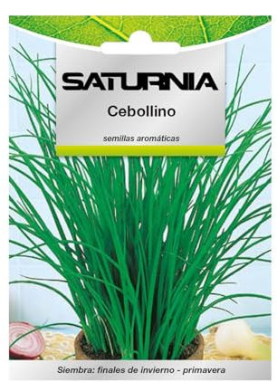 Semillas aromaticas cebollino (1 gramo) horticultura, horticola, semillas huerto.