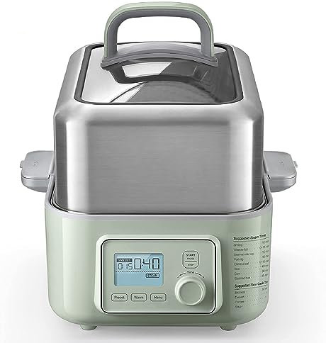 Electric Food Steamer - Quick Steam in 60s, 2-Tier BPA-Free Trays, One Touch Control, Digital Multifunctional with Auto Shutoff & Boil Dry Protection