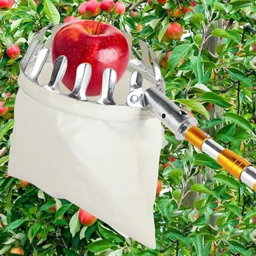 FORRTY Obstpflücker Teleskop, Verlängerbare Pflückhilfe Mit Korb, Apfelpflücker Stange for Obsternte Von Birnen Mangos Zitrusfrüchten, Praktisches Gartenwerkzeug for Hochreichweite(10m)