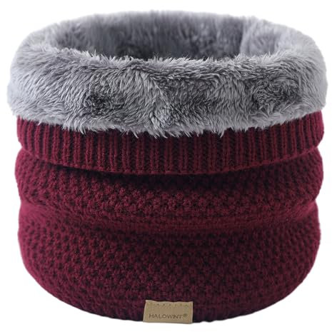 Blausky Winter Schal,Plüsch Halstuch,Unisex Halsschlauch,Ski Halswärmer,Dick Loopschal,Schlauchschal,Schlauchtuch,Warmes Gesichtsschal,Winddichte Scarf,Nackenwärmer,Sportschal,25 x 21 cm,Weinrot