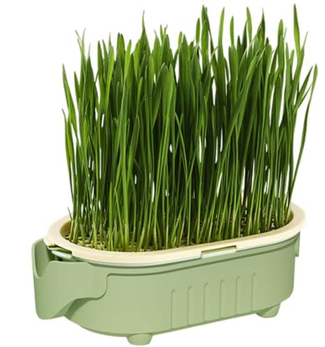 Katzengras Pflanzkasten - Katzengras Pflanzgefäß | Katzengras Pflanztopf | Easy Grow Kit für Katzen | Sicheres und gesundes Gras für Indoor-Katzen | Anleitung zum Anbau von frischem Katzengras