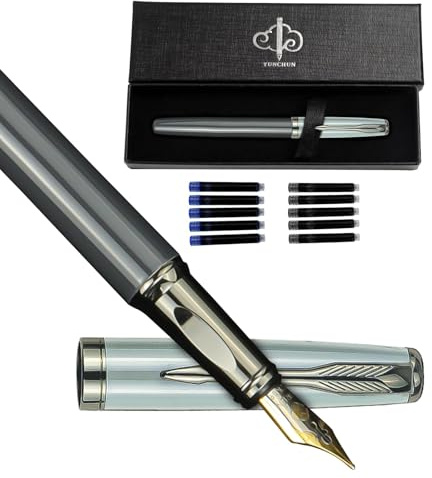 YUN CHUN Stylo Plume Set Écriture, Plume Moyenne Couleur Morandi avec 10 Recharges Noires et 10 Bleues, Stylo Bureau Professionnel Homme Femme, Gris
