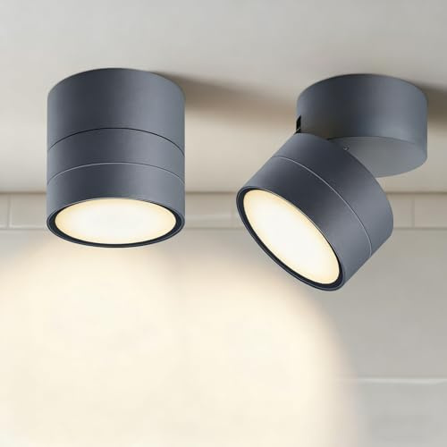 EBION GX53 Ceiling Light,90° Swivel Ceiling Spotlights,Anthracite,2 Pack | IP54 Surface Mounted Downlights for Ceiling,for Living Room,Bedroom,Bathroom,Hallway,Balcony,Aluminium,(Bulbs Not Included)