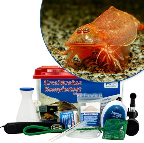 AQ4Aquaristik Triops cancriformis VAR. Beni Kabuto EBI Premium Komplett-Set mit Urzeitkrebs Eiern, 6 l Becken, LED-Beleuchtung, Zuchtansatz, Filter, Luftpumpe, Kescher, Futter, Zubehör, Anleitung