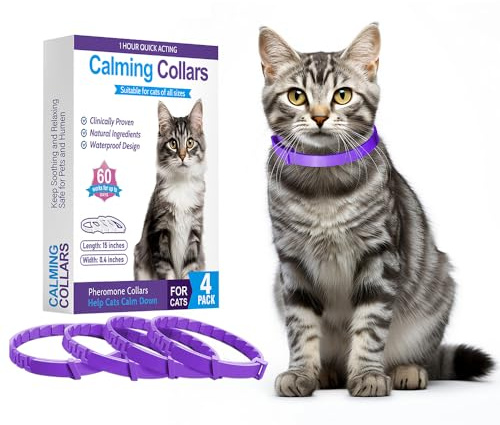 Pheromon Katzen Beruhigende Halsbänder, Lila, 15 Zoll, 4 Stück