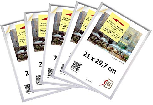 3-B Bilderrahmen ALU FOTO - 5-Pack - 21x29,7 cm (A4) - silber matt - Alurahmen, Fotorahmen mit Polyesterglas. Sparpaket!