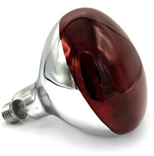 Titan Incubators 175 w Infra Red Bulb for Heat Lamps