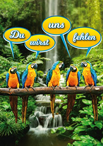 Edition Colibri XL Abschiedskarte/Ruhestandskarte DU WIRST UNS FEHLEN: Lustige DIN A 4 Maxi-Karte zum Ruhestand oder Verabschiedung von Kollegen (10986)