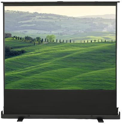 Canvas uppdragbar duk fristående golvuppdragbar kanvas matt vit kanvas hemmabio med 4K Full HD 3D gain 1,2 projektorduk för kontorspresentationer skolor (80 tum 4:3)