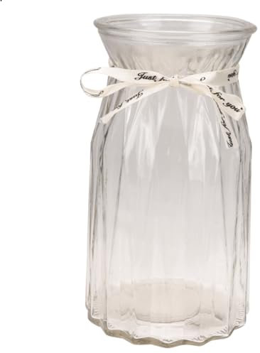 GOOHOCHY Vaso Trasparente Per Fiori Design Nordic Stile Bottiglia Creativa Per Decorazione Casa e Ufficio Contenitore Elegante Per Piante e Fiori Capacità e Aspetto Moderno