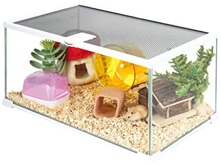 WYRMB Hamsterkäfig, Hamsterhaus, Glas, transparent, Futterbox, Biss-Igelkäfig, Goldener Bären-Organizer (transparent, 50 x 30 x 25 cm)