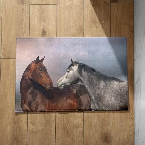 Isdreem Fußmatte Innen Waschbar Weich Fussmatte Gross Pferd Fußmatte Außen Schmal Türmatte Mit Motiv rutschfeste, Leichte Dekorationsmatten Aus Plüschbaumwolle, 40x60cm