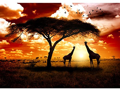 Runa Art Papel tapiz fotográfico 396 x 280 cm África jirafa | Lana Decoración De Pared Sala Cuarto | Fabricación alemana | marrón naranja 9110012b