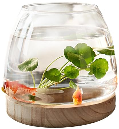 Generico Barattolo di Vetro Rotondo in Vetro | Ciotola di Pesce idroponico | Vaso idroponico di | Acquario con Base in Legno | Vasi idroponici semplici per Betta, Pesce