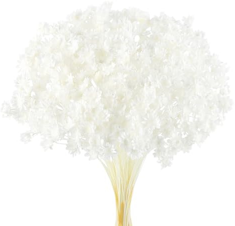 Larber 300 stycken torkade blomstjälkar torkad tusensköna torkad blomma brasiliansk vit mini torkade blommor naturliga torkade blommor dekoration rekvisita (snövit)