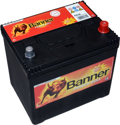 Banner Power Bull P6068