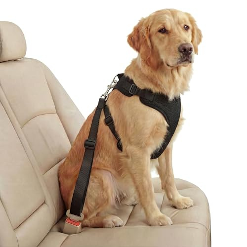Barpre Dog Car Seat Belt - Adjustable Safety Restraint Lead for Cars - Universal 2.1cm Clip Adapter for Harness - Durable Nylon Vehicle Travel Strap for Puppy Small Medium Dogs & Pets - Black