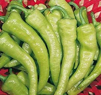 Potseed 60 Semi di Pepe friariello di Trasporto Libero