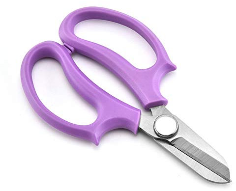 Herramienta de Recorte Tijeras de poda Floral Tijeras de jardín Herramientas de Acero Inoxidable Tijeras de podar para Cortar Flores de floristería Arreglos de jardinería Adecuado para Jardines y cés