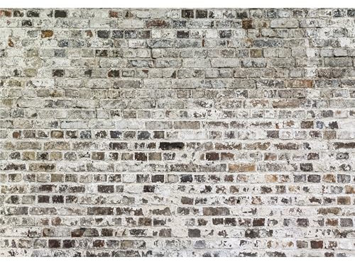 murando Fototapete selbstklebend 490x280cm Foto Tapete Tapetenfolie Möbelfolie Wandverkleidung Wandtapete Motivtapeten Bildtapete Wohnzimmer Schlafzimmer 3d Effekt Ziegel Mauer Beton f-A-0457-a-a