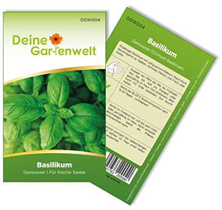 Basilikum Genoveser Samen - Ocimum basilicum - Basilikumsamen - Kräutersamen - Saatgut für 150 Pflanzen