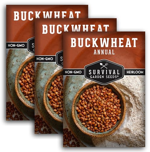 Survival Garden Seeds Buckwheat Seed for Planting - 3 Packets with Instructions to Plant & Grow a Cover Crop & Buckwheat Grain Plants in Your Home Vegetable Garden - Non-GMO Heirloom Variety