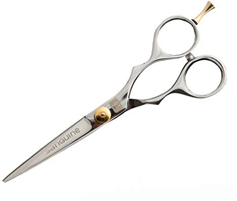 Sanguine professionell frisörsax hårsax i krom, 14 cm
