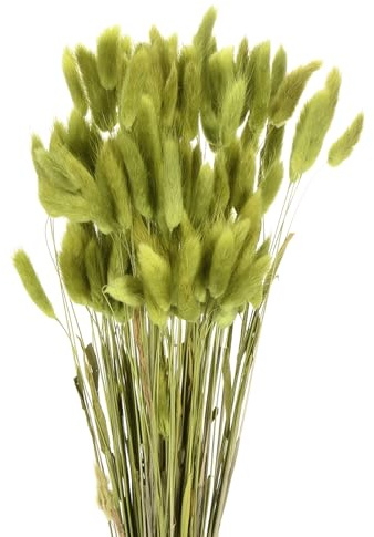 QUARKZMAN 120pz Coda di Coniglio Naturale Fiori Secchi 43cm Mini Erba di Pampa per Decorazioni Floreali Matrimonio Natale, Verde Frutta