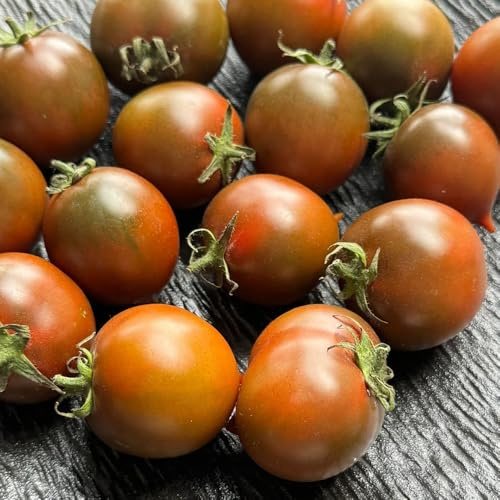 tomatensamen alte sorten, hochbeet seltene, gemüsebeet balkon 300pcs