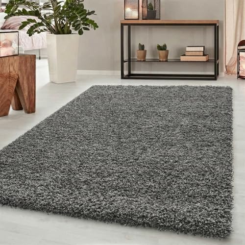 Oxford Plain Soft Thick Shaggy Living Room Area Rug, Dark Grey, 120x170cm