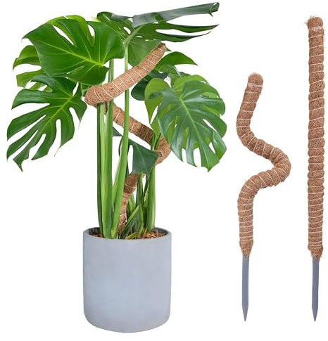 ADEPTNA 2 Pack - 25 Inch Bendable Moss Pole Indoor Outdoor Plants Adjustable Coco Coir Support Sticks Climbing Plants Like Monstera Philodendron Pothos for Easy Plant Training (25 Inch / 63.5 Cm)