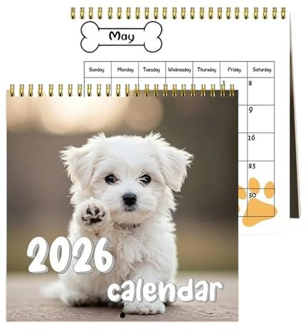 Lustiger Hundekalender 2026,Wandkalender Hunde Welpen - Monatlicher Planer Mit Großem Raster Für Familienaktivitäten Team Meetings Urlaubsplanung