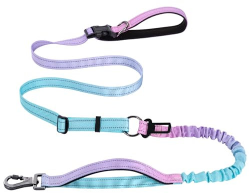 Hundeleine Mit Reflektierenden Streifen - Verstellbare Führleine und Joggingleine für Große Hunde - Lila Blau