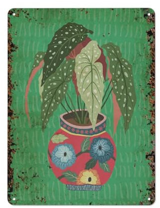 Beautiful Begonia Maculata House Plant Plant Lover Novelty Retro Metal Tin Sign, Funny Wall Decor Garage Bar Courtyard Living room 8x12 Inch