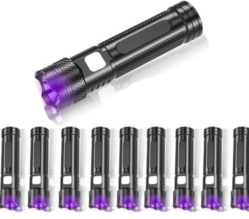 POCKETMAN Paquete de 10 linternas UV de 365 nm con 2 modos de luz, mini luz negra recargable para detección de orina de mascotas, autenticación de moneda y verificación antigua