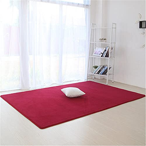 Alfombra de Terciopelo Coral Grueso de Color sólido Calidad Vino Tinto Clásico Suave Lavable Antideslizante Grande Rugs Minimalista Moderna Sala De Estar Dormitorio Tatami Gateando Estera -60×90cm