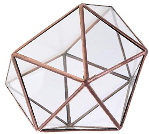 Tubayia Geometrisches Terrarium Sukkulenten Pflanzen Glaswürfel Blumentopf für Haus Garten