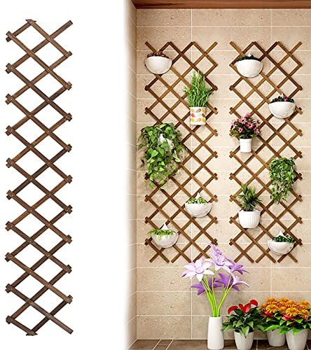Treillis Bois,Palissade Balcon,Support de Décoration de Fleurs de Cadre d'escalade pour Plantes Rétractables de Clôture,Treillis de jardin extensible pour plantes grimpantes (180x34cm/70.8x13.3in)
